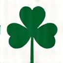 Icon of a shamrock, representing authentic Irish culture